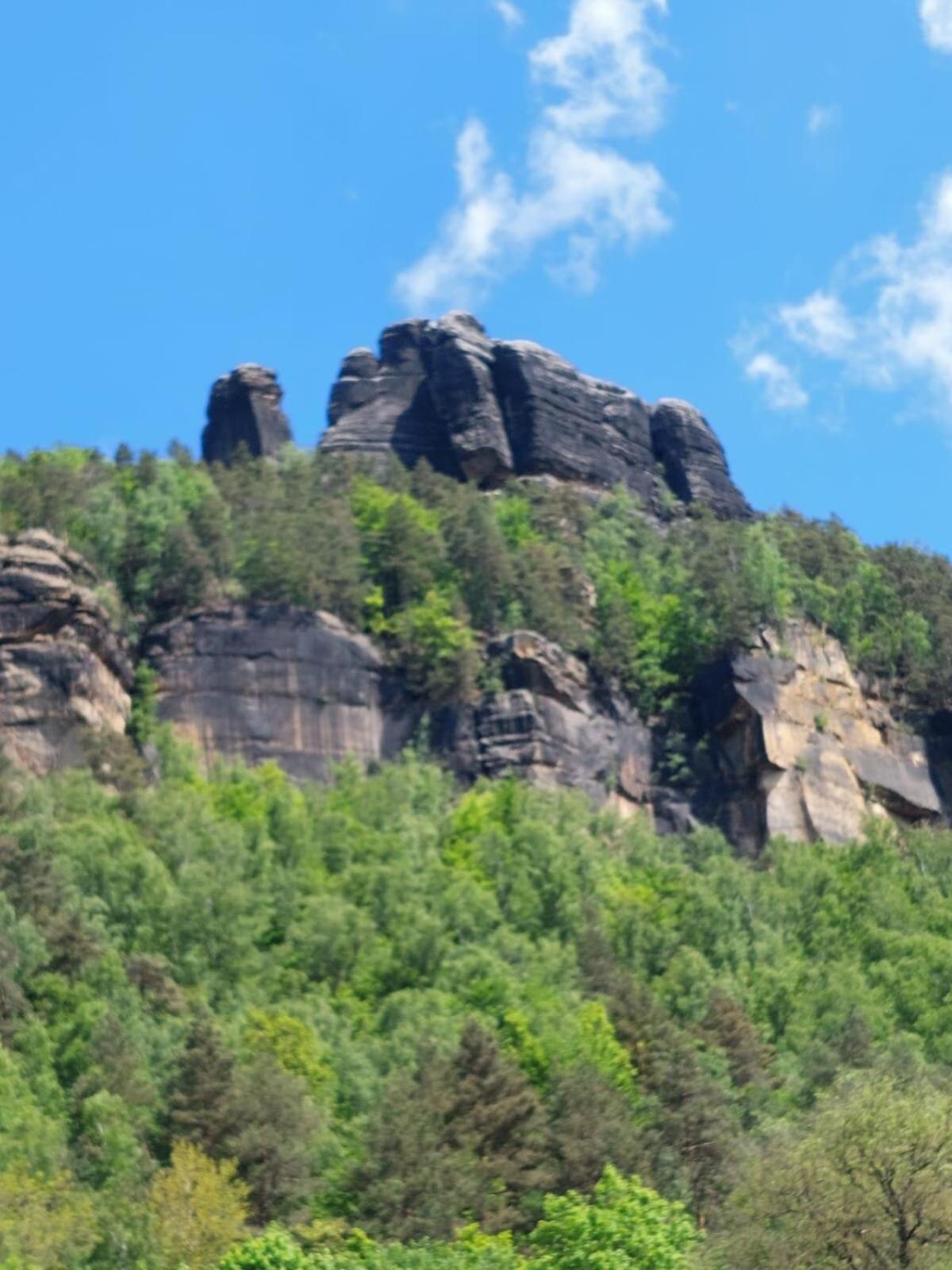 Auf Dem Buschholz *